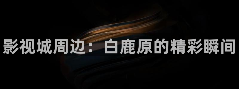 新视觉网站电视剧