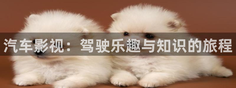 yy6080手机新视觉影院